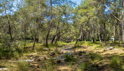 Scenic park near the Antalya zoo with green trees, creek, picnic areas, and a footbridge in soft sunlight. Antalya, Turkey, Mediterranean region.