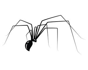 Minimalist illustration of a spider, symbolizing fear or Halloween. Clean, modern design ideal for web use, infographics or spooky themed graphics. Editable vector.