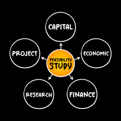 Feasibility study - assessment of the practicality of a proposed project or system, mind map concept background