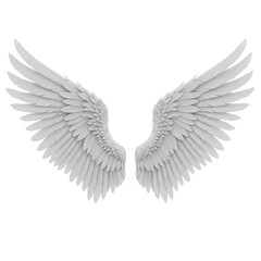 Obraz premium angel wings isolated on white
