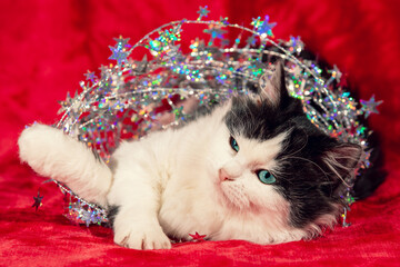 Funny little kitten wrapped in Christmas glitter garland lies on a red blanket. Christmas concept.