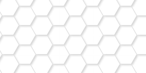 Abstract minimal Background with white lines Hexagonal structure futuristic white background and Embossed Hexagon , honeycomb white mosaic cell web ,light and shadow texture design.	
