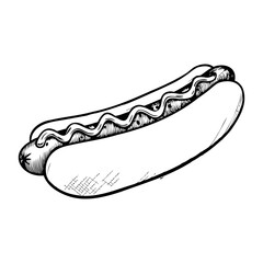 A hand-drawn illustration of a hot dog with mustard and ketchup. The bun is soft and slightly toasted, while the sausage is plump and juicy. Ideal for food-related themes.