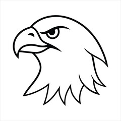 Majestic Hawk Head Illustration Detailed Vector Graphic for Banners and Advertisements