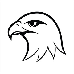 Majestic Hawk Head Illustration Fierce Bird of Prey Design