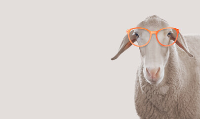 Cute sheep with sunglasses against beige background. Banner design with space for text