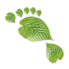 Fototapeta na wymiar Human footprint made of green leaves on white background, top view. Environmental care, ecology protection, reducing CO2 emission