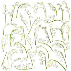 Fototapeta premium Beautiful lily of the valley flowers isolated on white, set