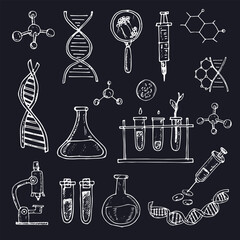 Genetic engineering isolated hand drawn doodles Vector