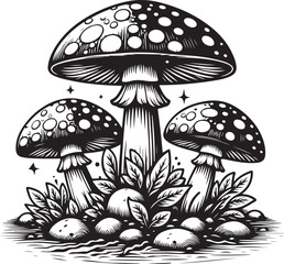 3 mushrooms are growing on the ground image vector