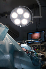 Veterinarians perform laparoscopic surgery on an animal patient under bright surgical lights, using special instruments and watching the procedure on a screen. Complex laparoscopic surgery on a pet.