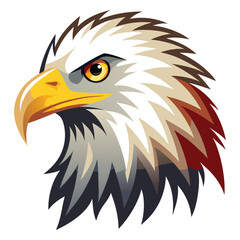 american bald eagle vector illustration