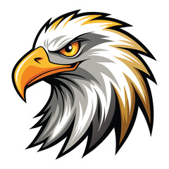 Fototapeta premium american bald eagle with white background