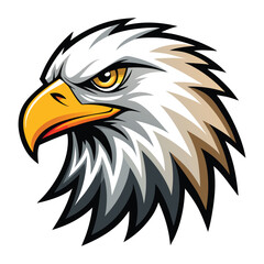 Fototapeta premium american bald eagle with white background