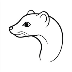 Detailed Illustration of a Weasel s Head