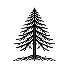 Black Silhouette Pine Tree Roots