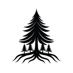 Silhouette of Pine Trees and Roots