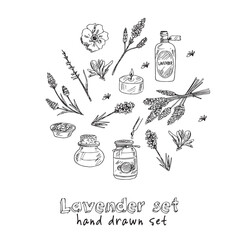 Lavender hand drawn doodle set. Vector illustration. Isolated elements on white background. Symbol collection.
