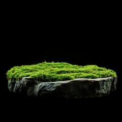 Fototapeta premium The Mossy Stone Island A Miniature Ecosystem of Greenery