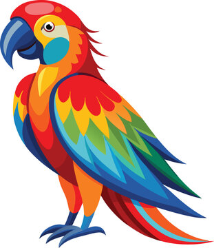 Parrot vecot art colorful design