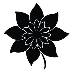 black and white flower