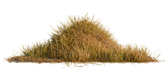 Hills with grass on a transparent background. 3D rendering.	
