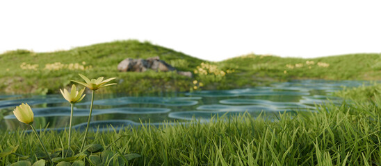 Hills with grass on a transparent background. 3D rendering.	
