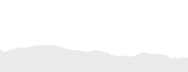 White canvas paper texture with ripped edge, showing rough torn border and subtle fabric pattern, ideal for creative backgrounds or design projects