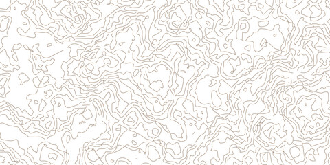 Black and white landscape geographic pattern.Topography and geography map grid abstract backdrop.The stylized height of the topographic map in contour, lines. creative cartography.