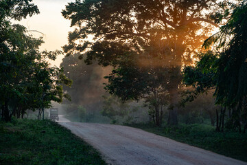 Driving in a safari jeep in Yala national park at sunset, sri lanka