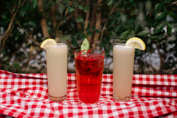 Colorful summer drinks on a checkered cloth with greenery backdrop.