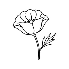 California poppy flower line art on white background vector illustration