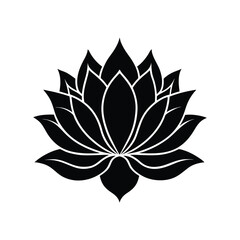 Lotus flower on white background vector illustration