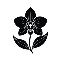 Orchid flower with leaf on white background vector illustration