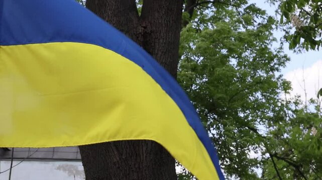 National flag of Ukraine waving in the park