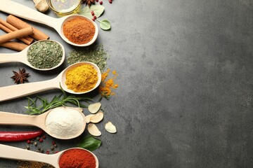 Many different spices in spoons on grey table, flat lay. Space for text