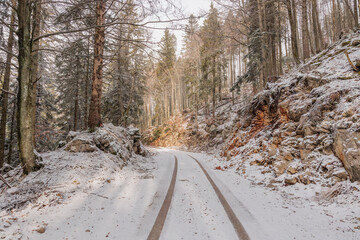 vista panoramica su una strada sterrata che passa tra le foreste e le montagne innevate, di un...