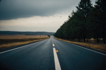 Naklejka premium A rural road lined with trees in the middle of nowhere, perfect for a peaceful getaway or scenic drive