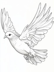 Obraz premium Majestic Dove in Flight A Detailed Line Drawing Illustration