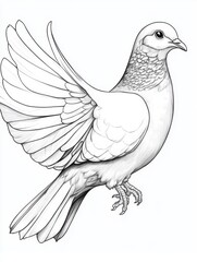 Obraz premium Majestic Flying Dove A Detailed Pencil Sketch Illustration