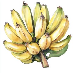 A cluster of ripe bananas, yellow and light green, depicted in a detailed watercolor style.  The bananas are arranged closely together on a stem, with variations in shade and texture