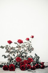 Red roses clustered on a light gray surface against a white background. Lush blooms and foliage