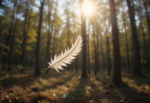 Una sola pluma flotando en un claro del bosque iluminado por el sol, atrapada por el viento suave, representa la liberaci&oacute;n y la belleza fr&aacute;gil