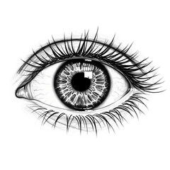 Sketch Eye Drawing: Black & White