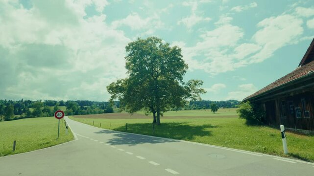 Sanfte Naturvideos zeigen gr&uuml;ne Felder, rauschende B&auml;ume und einen weiten, blauen Himmel mit ziehenden Wolken &ndash; eine beruhigende Kulisse voller Leben, Licht und nat&uuml;rlicher Harmonie.