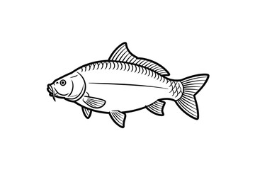 Common Carp Outline Art & Illustration