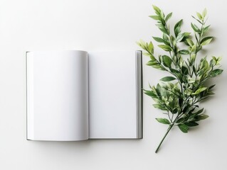 Open book, fresh greens on white background