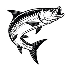 Vector Tarpon Leaping Art & Illustration, Fish vector on a white background
