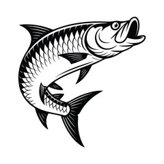 Vector Tarpon Leaping Art & Illustration, Fish vector on a white background