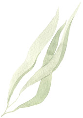 Watercolor hand painted tropical leaf. Green jungle foliage clip art perfect for summer wedding invitation and party card making